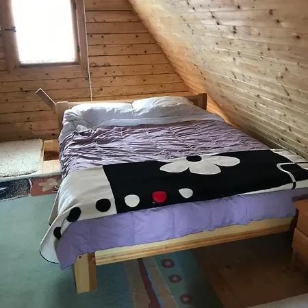 Perkun Holiday home *