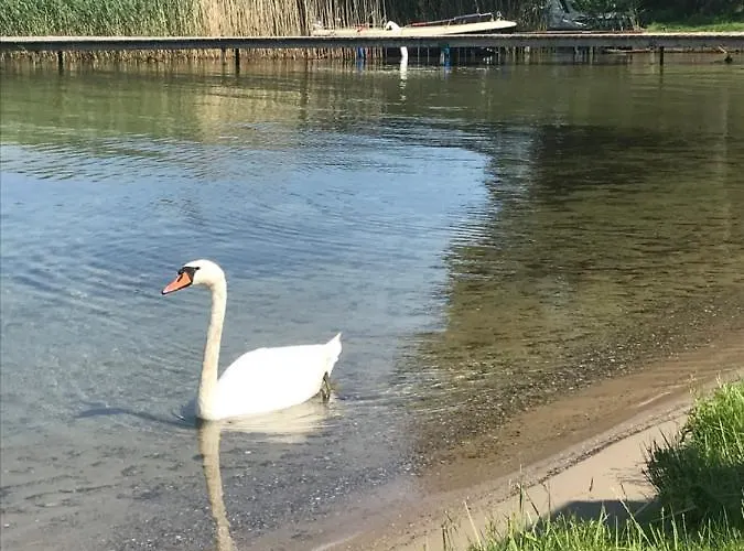 Prázdninový dům Perkun